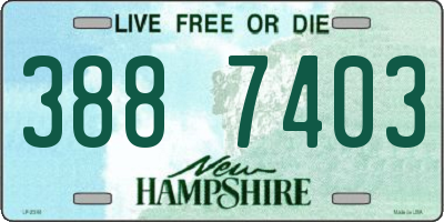 NH license plate 3887403