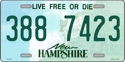 NH license plate 3887423