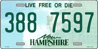 NH license plate 3887597