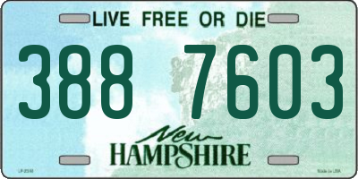 NH license plate 3887603