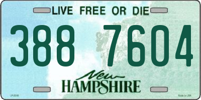 NH license plate 3887604