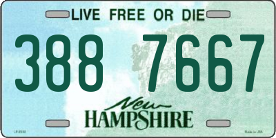 NH license plate 3887667