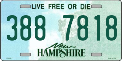 NH license plate 3887818