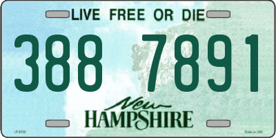 NH license plate 3887891