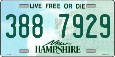 NH license plate 3887929