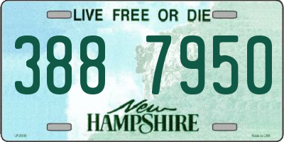 NH license plate 3887950