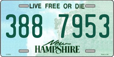 NH license plate 3887953
