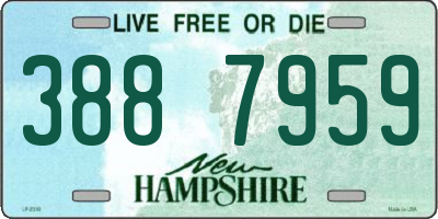 NH license plate 3887959