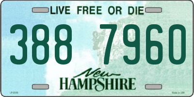 NH license plate 3887960
