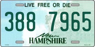 NH license plate 3887965
