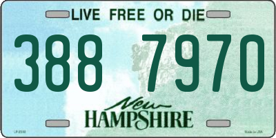 NH license plate 3887970