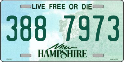 NH license plate 3887973