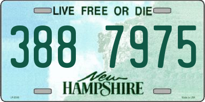 NH license plate 3887975