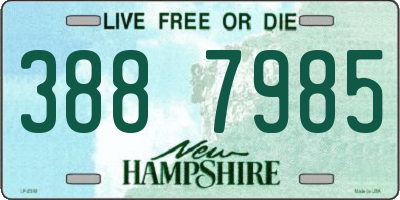 NH license plate 3887985