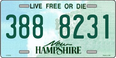 NH license plate 3888231