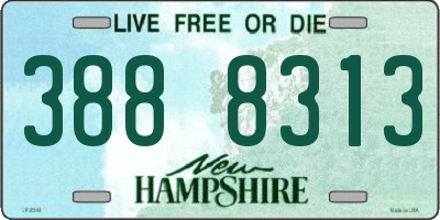 NH license plate 3888313