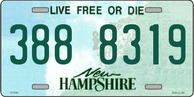 NH license plate 3888319