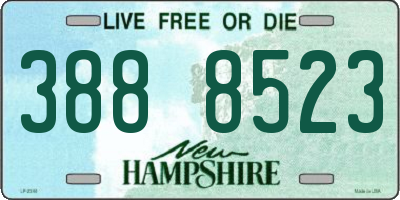 NH license plate 3888523