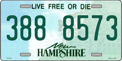 NH license plate 3888573