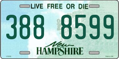 NH license plate 3888599