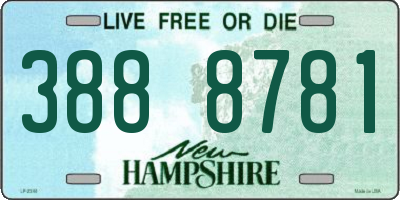 NH license plate 3888781