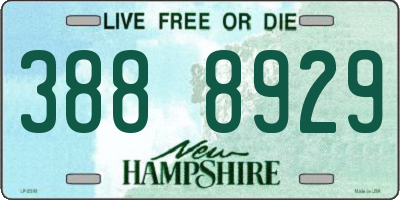 NH license plate 3888929