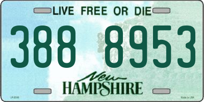 NH license plate 3888953