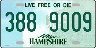 NH license plate 3889009