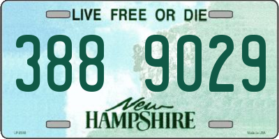 NH license plate 3889029