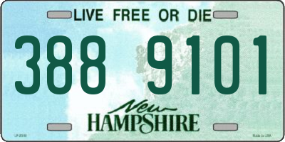 NH license plate 3889101
