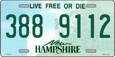 NH license plate 3889112