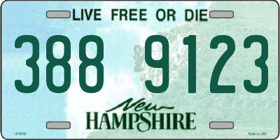 NH license plate 3889123
