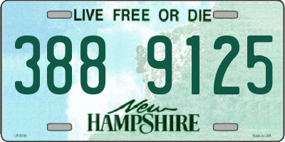NH license plate 3889125