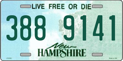 NH license plate 3889141