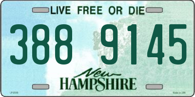 NH license plate 3889145