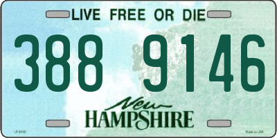 NH license plate 3889146