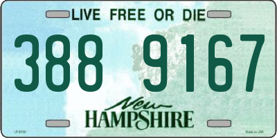 NH license plate 3889167