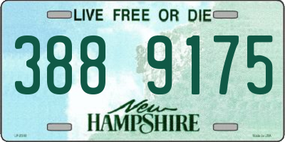 NH license plate 3889175