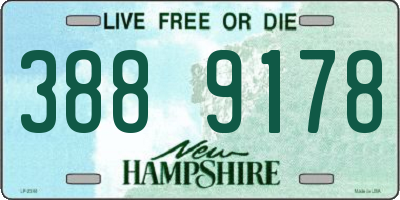 NH license plate 3889178