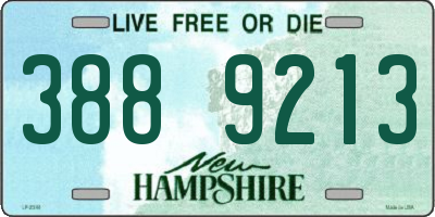 NH license plate 3889213