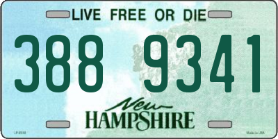 NH license plate 3889341