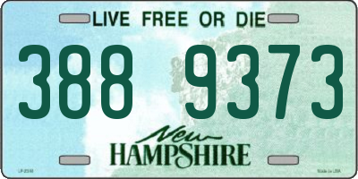 NH license plate 3889373