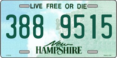 NH license plate 3889515