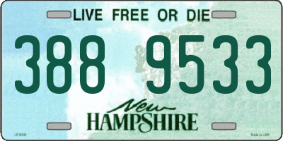 NH license plate 3889533