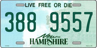 NH license plate 3889557