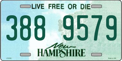 NH license plate 3889579