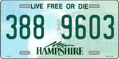 NH license plate 3889603