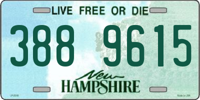 NH license plate 3889615