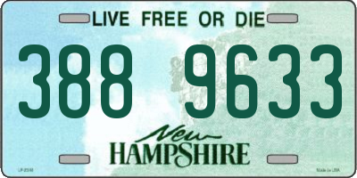 NH license plate 3889633