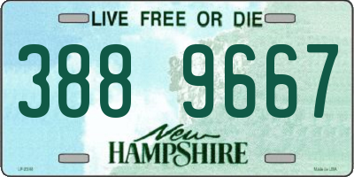 NH license plate 3889667